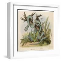 Snake, Trigonocephalus-null-Framed Art Print