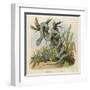 Snake, Trigonocephalus-null-Framed Art Print