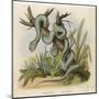 Snake, Trigonocephalus-null-Mounted Art Print