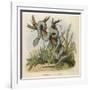 Snake, Trigonocephalus-null-Framed Art Print