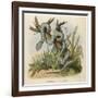 Snake, Trigonocephalus-null-Framed Art Print