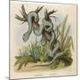 Snake, Trigonocephalus-null-Mounted Art Print