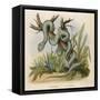 Snake, Trigonocephalus-null-Framed Stretched Canvas