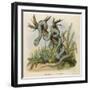 Snake, Trigonocephalus-null-Framed Art Print