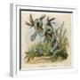 Snake, Trigonocephalus-null-Framed Art Print