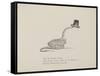 Snake Wearing a Hat From a Collection Of Poems and Songs by Edward Lear-Edward Lear-Framed Stretched Canvas