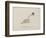 Snake Wearing a Hat From a Collection Of Poems and Songs by Edward Lear-Edward Lear-Framed Giclee Print