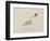 Snake Wearing a Hat From a Collection Of Poems and Songs by Edward Lear-Edward Lear-Framed Giclee Print