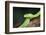 Snake-null-Framed Photographic Print