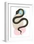 Snake-Ayse-Framed Art Print