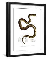 Snake-null-Framed Giclee Print