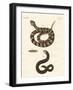 Snake-null-Framed Giclee Print