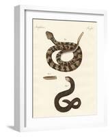 Snake-null-Framed Giclee Print