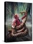 Snakefight-Eric Joyner-Stretched Canvas