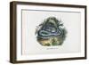 Snakes, 1863-79-Raimundo Petraroja-Framed Giclee Print