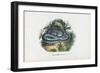 Snakes, 1863-79-Raimundo Petraroja-Framed Giclee Print