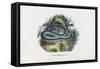 Snakes, 1863-79-Raimundo Petraroja-Framed Stretched Canvas