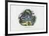 Snakes, 1863-79-Raimundo Petraroja-Framed Giclee Print