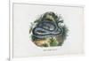 Snakes, 1863-79-Raimundo Petraroja-Framed Giclee Print