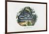 Snakes, 1863-79-Raimundo Petraroja-Framed Giclee Print