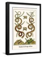 Snakes and Frogs Africa-Albertus Seba-Framed Art Print