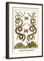 Snakes and Frogs Africa-Albertus Seba-Framed Art Print