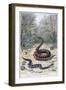 Snakes and Poisonous Plants, 1897-F Meaulle-Framed Giclee Print