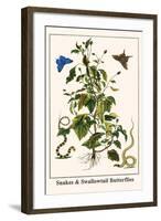 Snakes and Swallowtail Butterflies-Albertus Seba-Framed Art Print