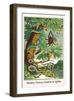 Snakes, Guava, Lizards and Spider-Albertus Seba-Framed Art Print