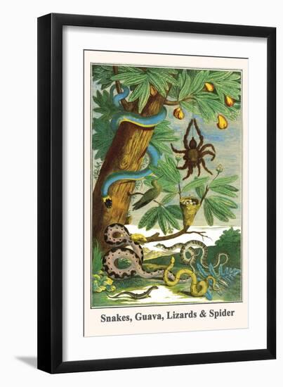 Snakes, Guava, Lizards and Spider-Albertus Seba-Framed Art Print