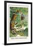 Snakes, Guava, Lizards and Spider-Albertus Seba-Framed Art Print