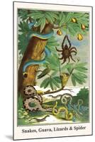 Snakes, Guava, Lizards and Spider-Albertus Seba-Mounted Art Print