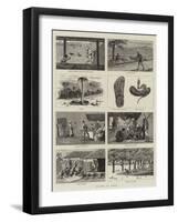 Snakes in India-null-Framed Giclee Print