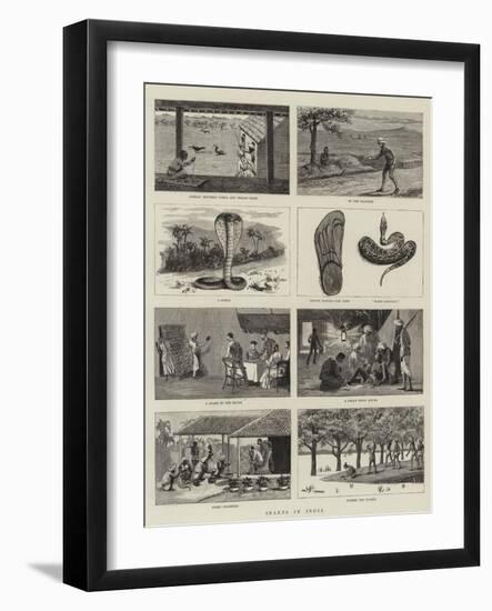 Snakes in India-null-Framed Giclee Print