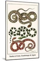Snakes of Asia, Guadeloupe and Japan-Albertus Seba-Mounted Art Print