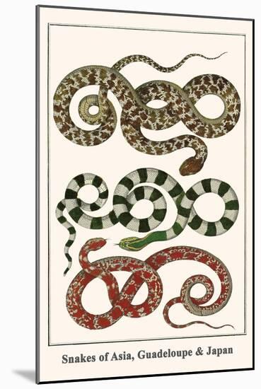 Snakes of Asia, Guadeloupe and Japan-Albertus Seba-Mounted Art Print