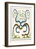 Snakes of Surinam and South America and Brazil-Albertus Seba-Framed Art Print