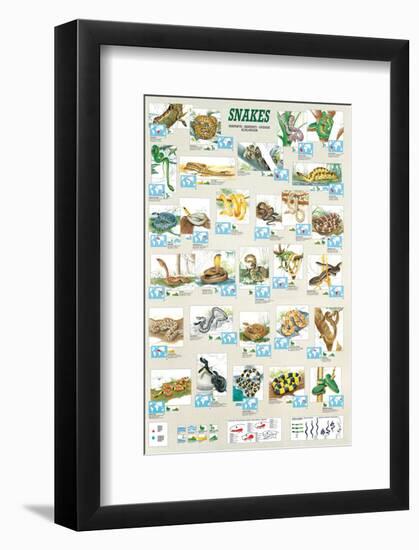 Snakes-null-Framed Art Print