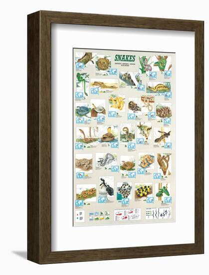 Snakes-null-Framed Art Print