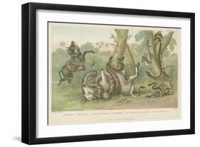 Snakes-null-Framed Giclee Print