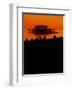 Snapbridge-Tim Kahane-Framed Photographic Print