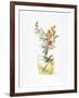 Snapdragon Scent-Lisa Danielle-Framed Art Print