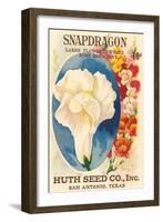 Snapdragon Seed Packet-null-Framed Art Print
