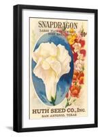 Snapdragon Seed Packet-null-Framed Art Print