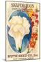 Snapdragon Seed Packet-null-Mounted Art Print