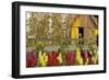 Snapdragons Barn II-Dana Styber-Framed Photographic Print