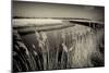 Snape Maltings, Suffolk England-Tim Kahane-Mounted Photographic Print