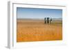 Snape Maltings-Tim Kahane-Framed Photographic Print