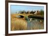 Snape, Suffolk-Peter Thompson-Framed Photographic Print