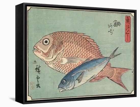 Snapper and Horse Mackerel, 1830-1844-Utagawa Hiroshige-Framed Stretched Canvas